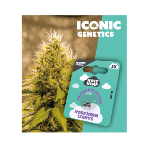 Holy Hemp Cannabis Samen Auto-Flowering - Northern Lights – Iconic Seeds