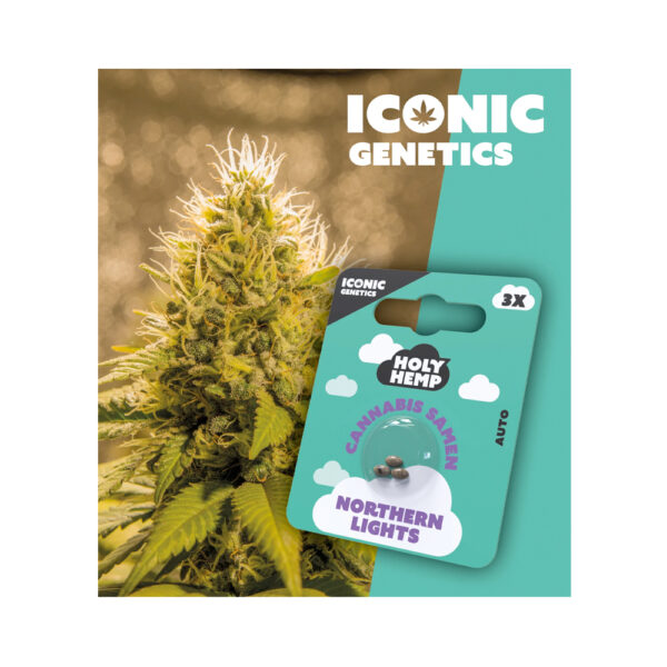 Holy Hemp Cannabis Samen Auto-Flowering - Northern Lights – Iconic Seeds