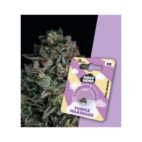Holy Hemp Cannabis Samen Full Season - Purple Milkshake