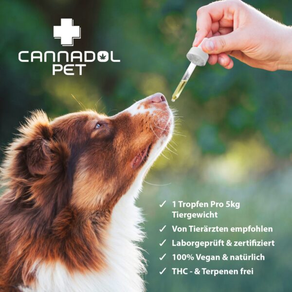 Cannadol CBD Öl Pet Hund 10% – Bild 4