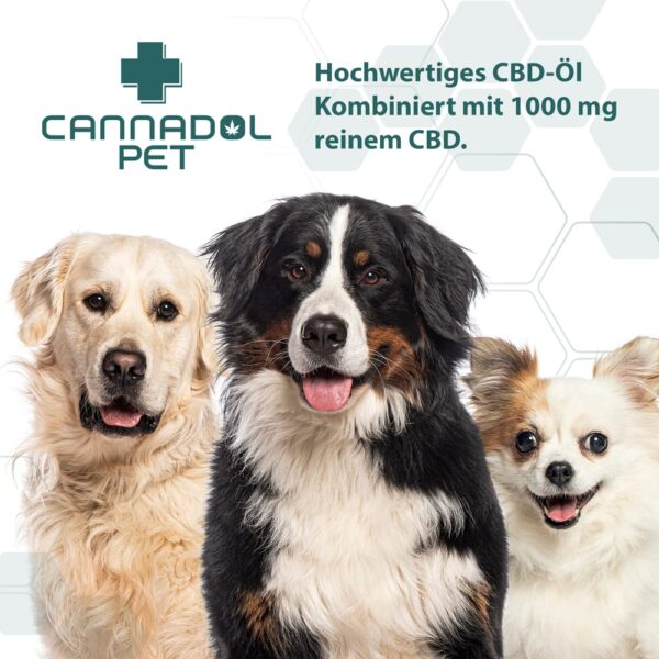Cannadol CBD Öl Pet Hund 10% – Bild 5